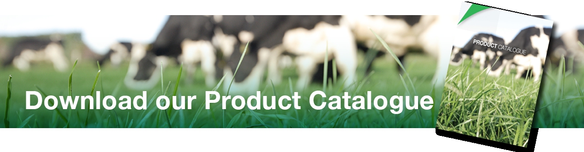 Download Catalogue